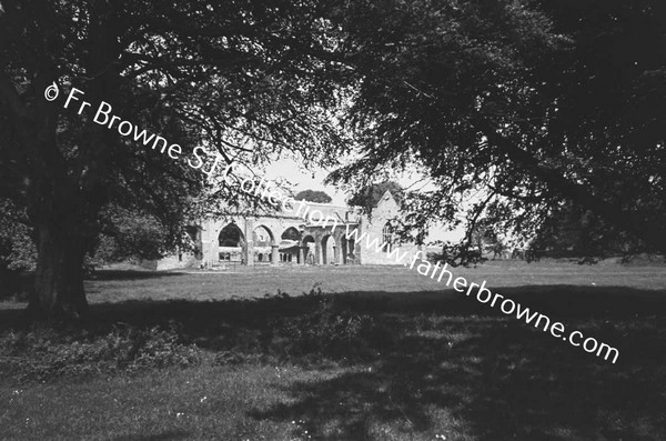 ARDFERT FRIARY SCENES